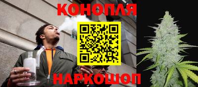 гашик Балашиха
