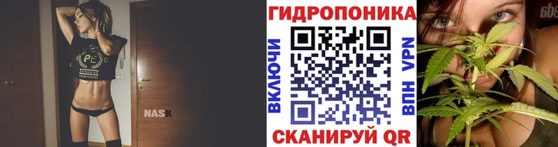 МЕГА tor  Реутов  Каннабис OG Kush 