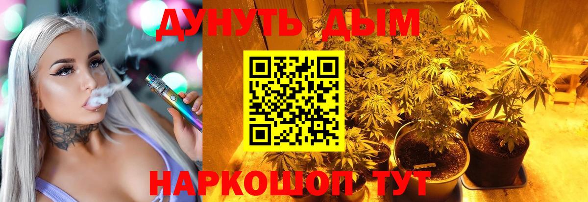 Конопля марихуана Реутов